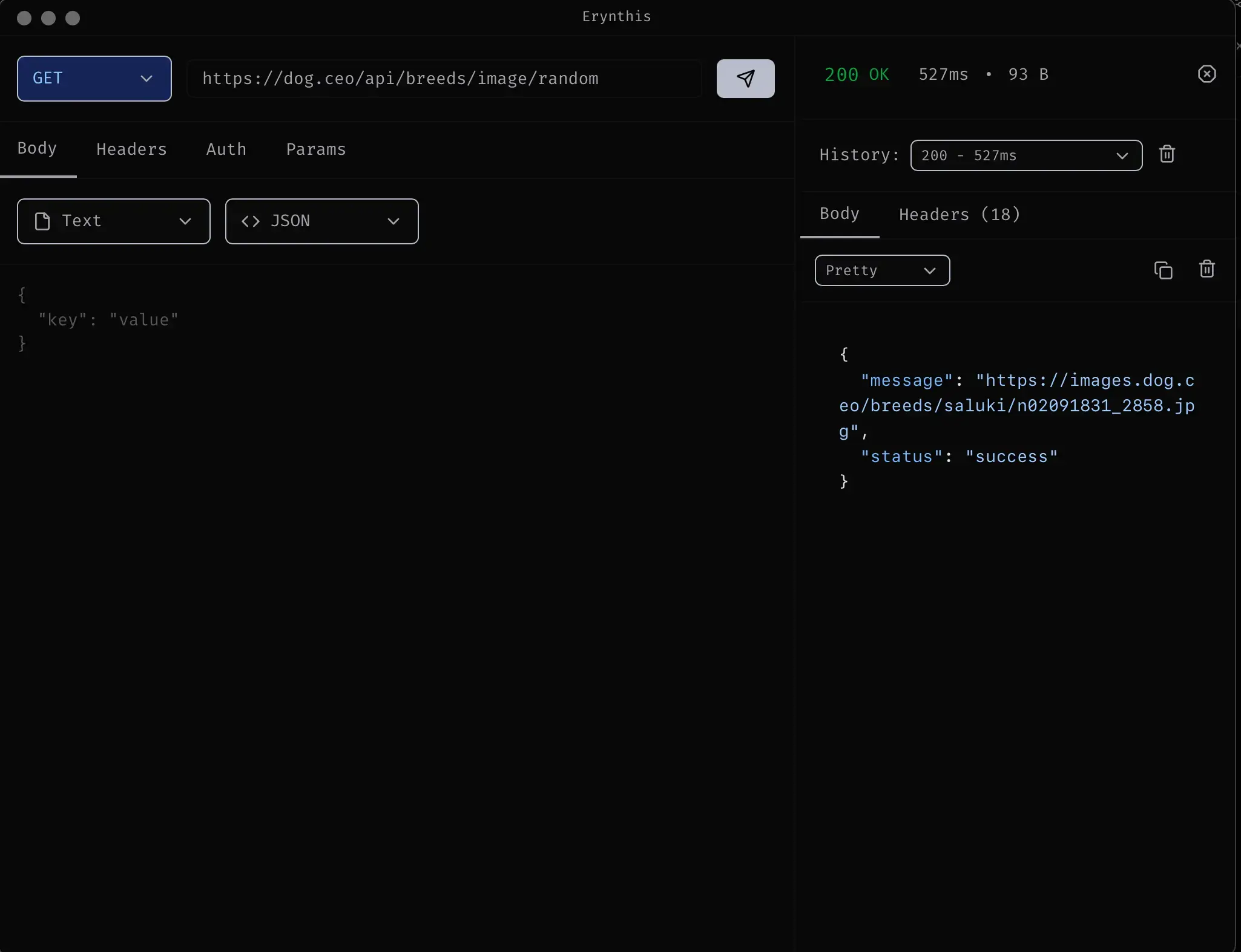 Erynthis API Client screenshot